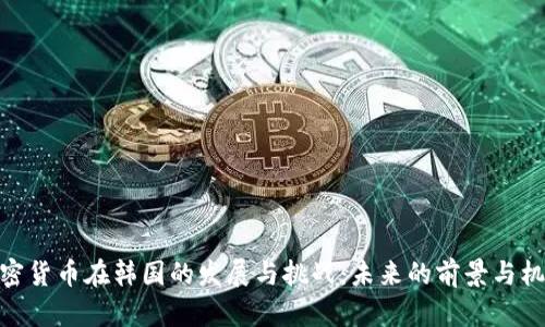 加密货币在韩国的发展与挑战：未来的前景与机遇