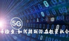 加密货币检查：如何辨别潜在投资机会与风险