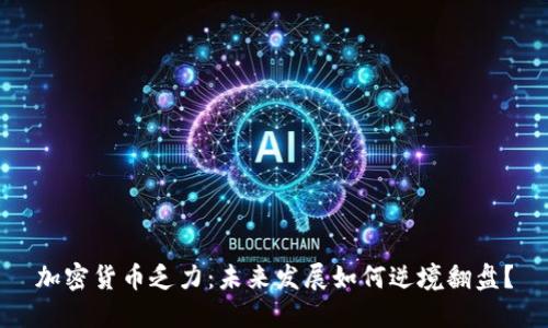 加密货币乏力：未来发展如何逆境翻盘？