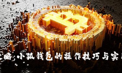 全面攻略：小狐钱包的操作技巧与实用价值