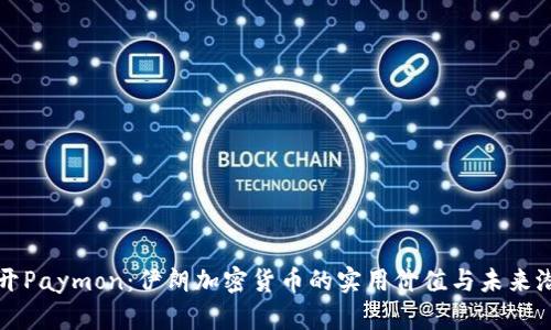 揭开Paymon：伊朗加密货币的实用价值与未来潜力