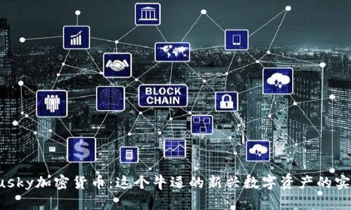 解密Husky加密货币：这个牛逼的新兴数字资产的实用价值