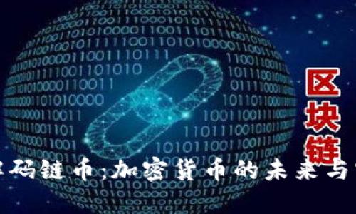 深入了解码链币：加密货币的未来与实用价值