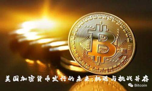 美国加密货币发行的未来：机遇与挑战并存