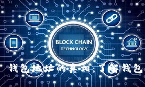 MetaMask 钱包地址的真相：了解钱包背后的秘密