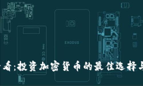 2023年必看：投资加密货币的最佳选择与实用指南