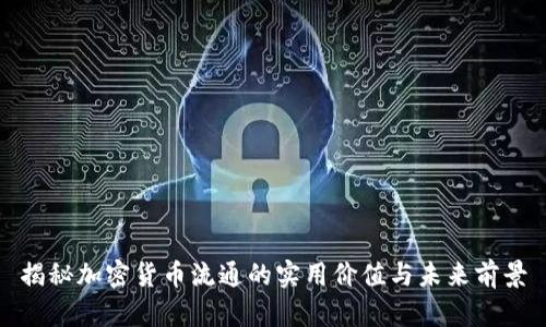 揭秘加密货币流通的实用价值与未来前景