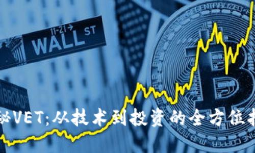 揭秘VET：从技术到投资的全方位指南