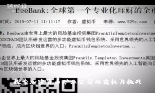 探索加密货币矿业公司的商机与挑战