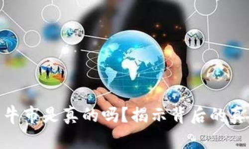 加密货币圈的牛市是真的吗？揭示背后的真相与投资策略