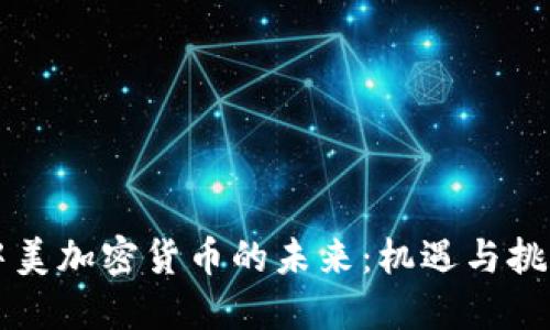 中美加密货币的未来：机遇与挑战