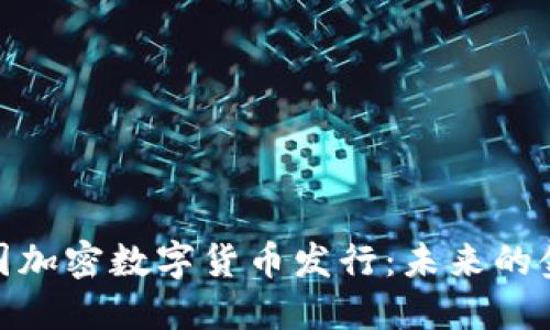 探索美国加密数字货币发行：未来的金融革命