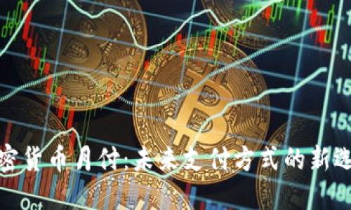 加密货币月付：未来支付方式的新选择