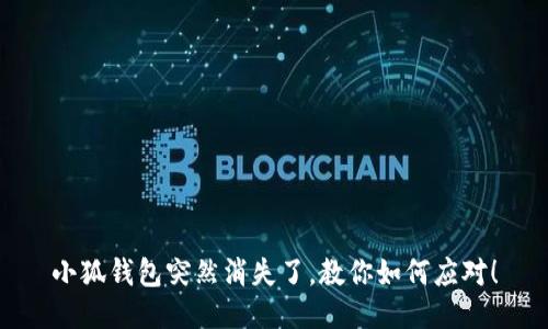 小狐钱包突然消失了，教你如何应对！