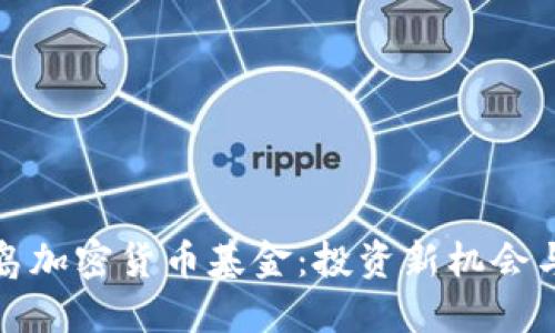 维尔京群岛加密货币基金：投资新机会与潜在风险