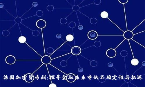 法国加密货币剧：探寻金融未来中的不确定性与机遇