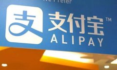 时尚与实用兼备：MINISO狐