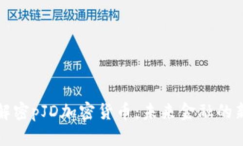: 解密pJD加密货币：未来金融的新星