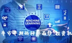 揭开加密货币牛市早期的神秘面纱：投资机遇与