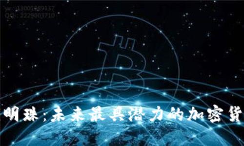 揭示下一颗明珠：未来最具潜力的加密货币价格预测