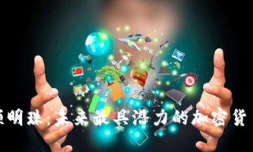 揭示下一颗明珠：未来最具潜力的加密货币价格预测