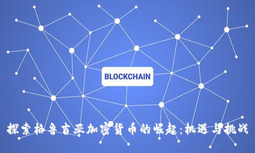 探索格鲁吉亚加密货币的崛起：机遇与挑战