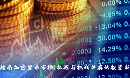 探索越南加密货币市场：机遇与挑战并存的投资新天地