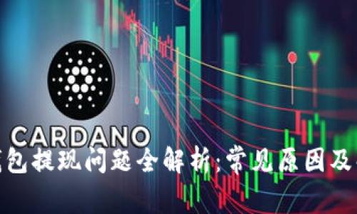 : 小狐钱包提现问题全解析：常见原因及解决方案