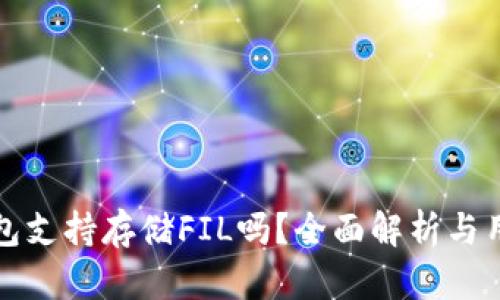 小狐钱包支持存储FIL吗？全面解析与用户指南