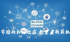 加密货币市场的杠杆效应