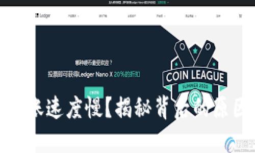 : 加密货币转账速度慢？揭秘背后的原因与解决方案