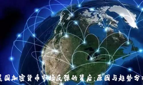   
美国加密货币市场反弹的背后：原因与趋势分析