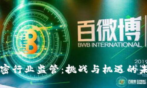 货币加密行业监管：挑战与机遇的未来之路