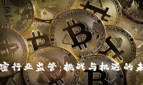 货币加密行业监管：挑战与机遇的未来之路