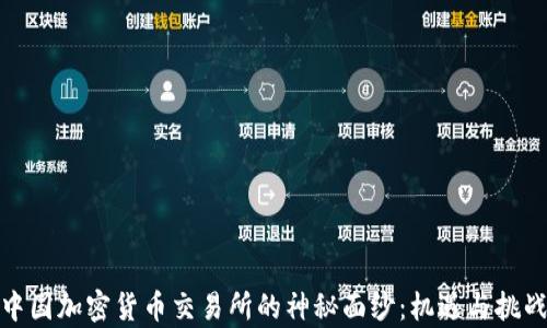 
揭开中国加密货币交易所的神秘面纱：机遇与挑战并存