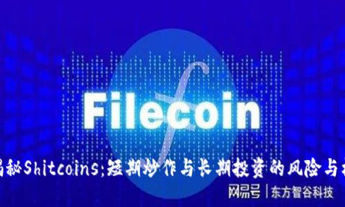 : 揭秘Shitcoins：短期炒作与长期投资的风险与机遇