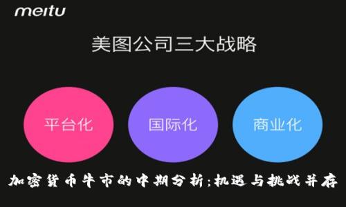 加密货币牛市的中期分析：机遇与挑战并存