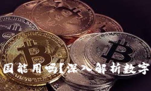 : 小狐钱包在中国能用吗？深入解析数字货币钱包的未来