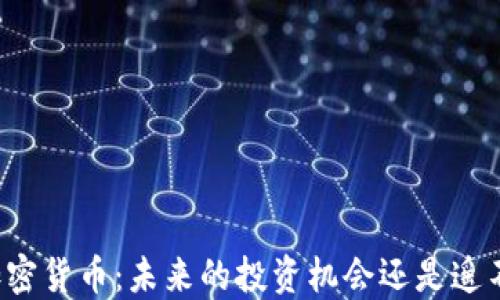 
无人使用的加密货币：未来的投资机会还是遥不可及的泡沫？