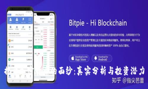 揭开加密货币的面纱：真实分析与投资潜力