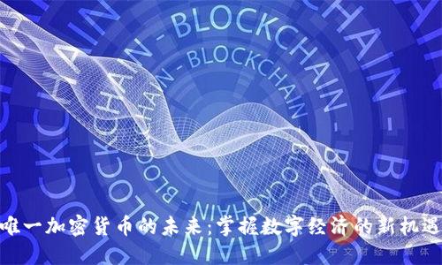 唯一加密货币的未来：掌握数字经济的新机遇