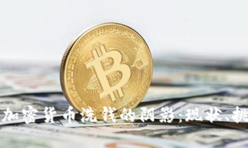 揭开南非加密货币洗钱的阴影：现状、挑战与未来