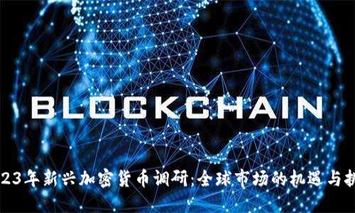 2023年新兴加密货币调研：全球市场的机遇与挑战
