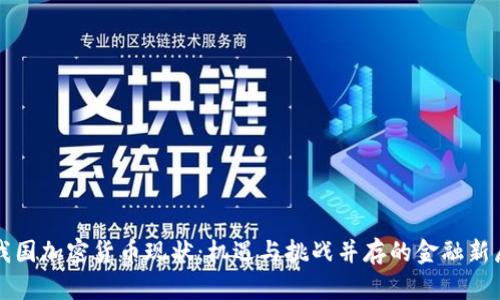 我国加密货币现状：机遇与挑战并存的金融新局