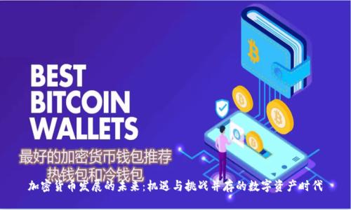 加密货币发展的未来：机遇与挑战并存的数字资产时代