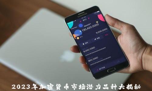
2023年加密货币市场潜力品种大揭秘