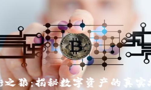 
加密货币华尔街之狼：揭秘数字资产的真实故事与投资策略