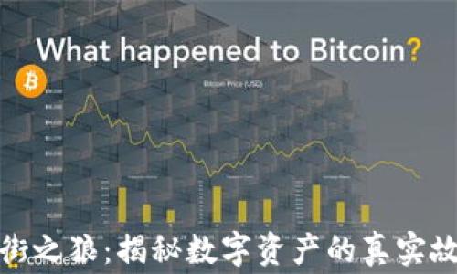 
加密货币华尔街之狼：揭秘数字资产的真实故事与投资策略