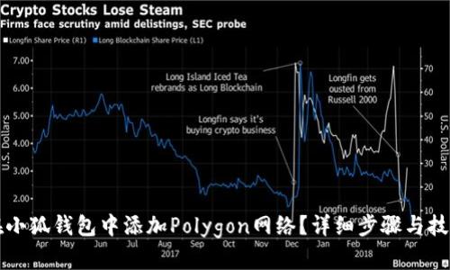 如何在小狐钱包中添加Polygon网络？详细步骤与技巧解析