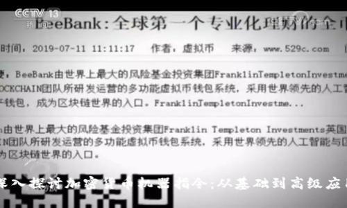 深入探讨加密货币机器指令：从基础到高级应用